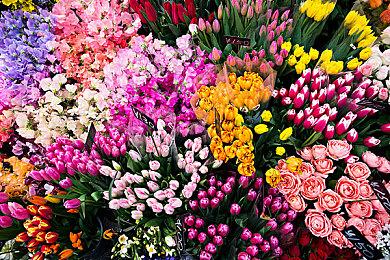 任天堂警示《银河战士：生存恐惧》崩盘BUG 会尽快修复